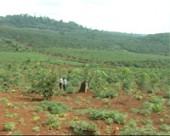 TÌNH TRẠNG BÁN ĐIỀU NON, CẦM CỐ, BÁN ĐẤT TRONG VÙNG ĐỒNG BÀO DÂN TỘC THIỂU SỐ Ở BÙ ĐĂNG DIỄN BIẾN PHỨC TẠP.