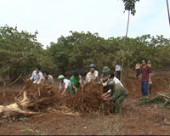 Nông dân thôn Đắk Uý, xã Đặk Nhau đóng góp 142 triệu đồng, làm đường giao thông nông thôn.