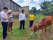 Tín dụng chính sách: "Đòn bẩy" phát triển kinh tế tại thôn Sơn Hòa.