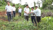 Bù Đăng đầu tư nâng cấp đường ngã ba ông Tám thôn 9 đi sóc ông La thuộc thôn 10, xã Thống Nhất đảm bảo an toàn giao thông.