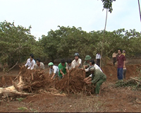 Nông dân thôn Đắk Uý, xã Đặk Nhau đóng góp 142 triệu đồng, làm đường giao thông nông thôn.